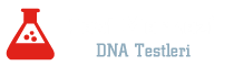 logo-9910.png